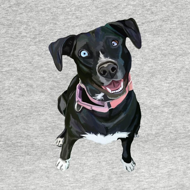 Charismatic Canine Black Labrador Mix by Art by Deborah Camp